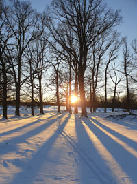 Veckans bild v 05 2024