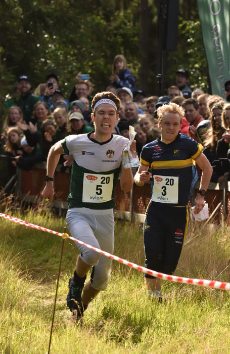 Veckans bild v 28 2024