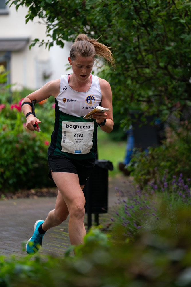 Veckans bild v 32 2024