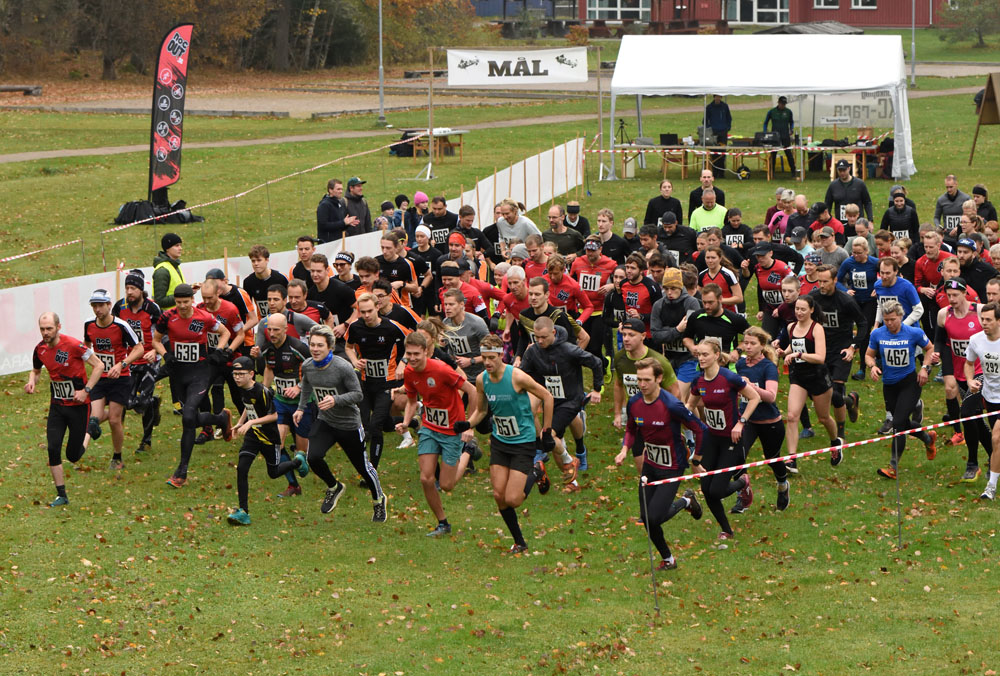 Veckans bild v 44 2024