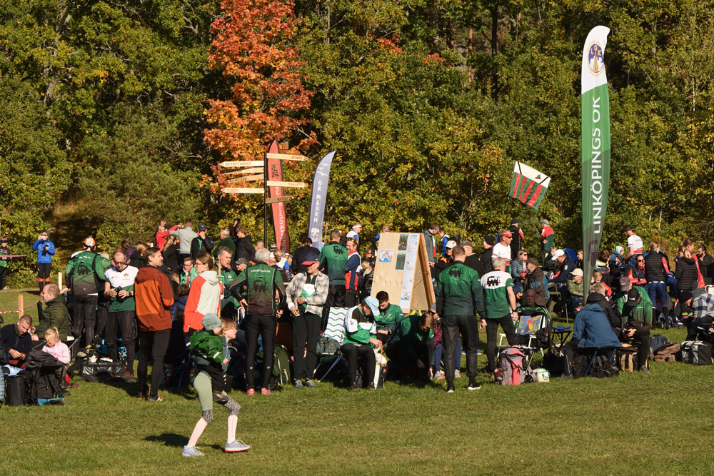 Veckans bild v 45 2024