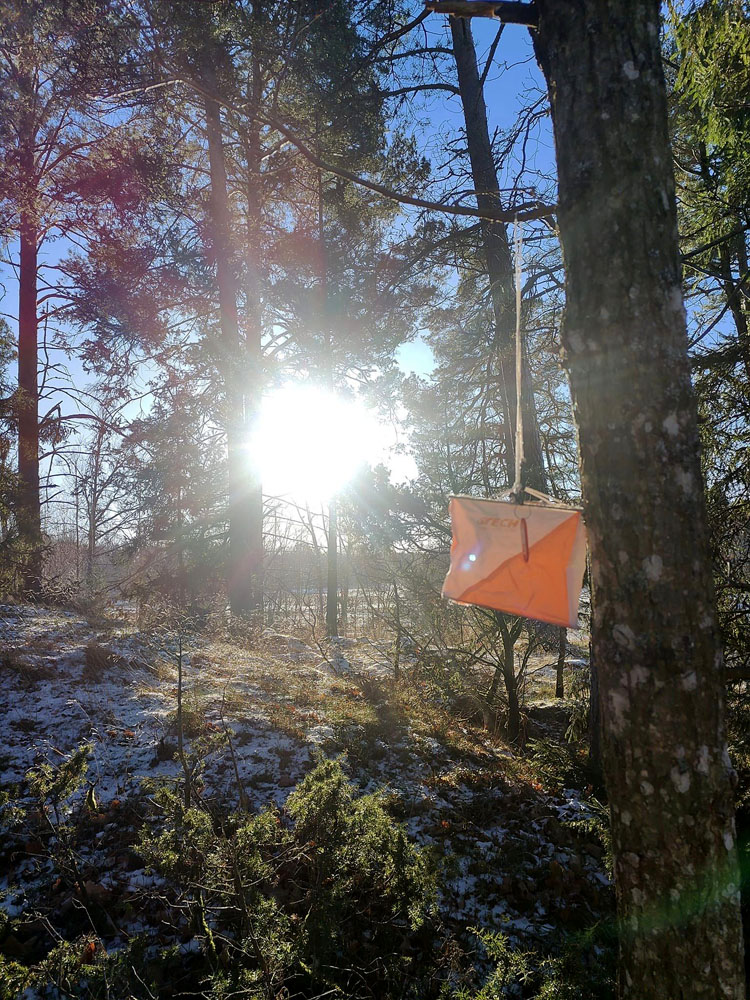 Veckans bild v 48 2024