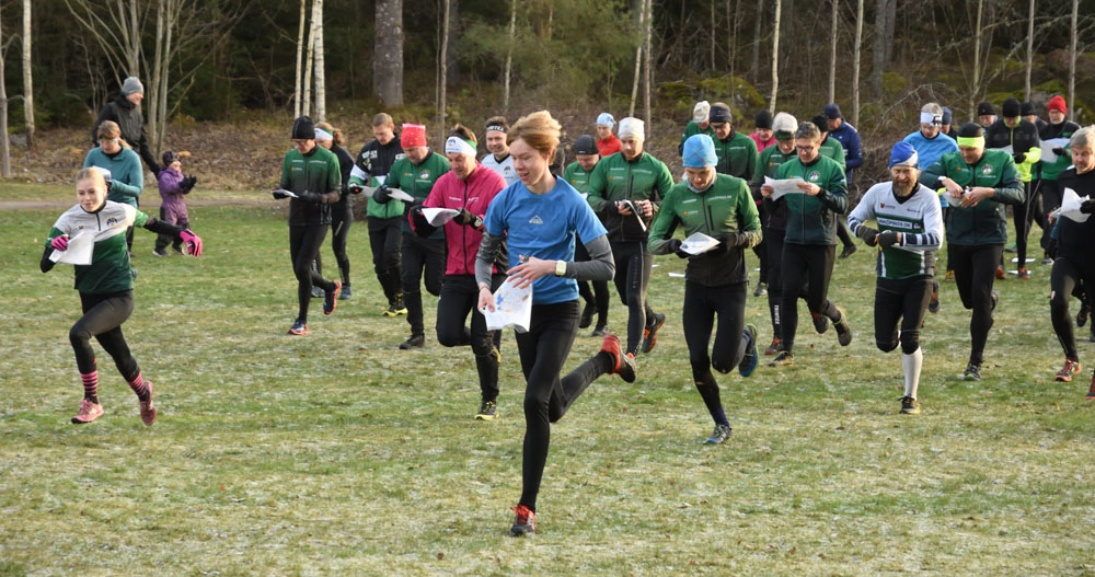 Veckans bild v 01 2025