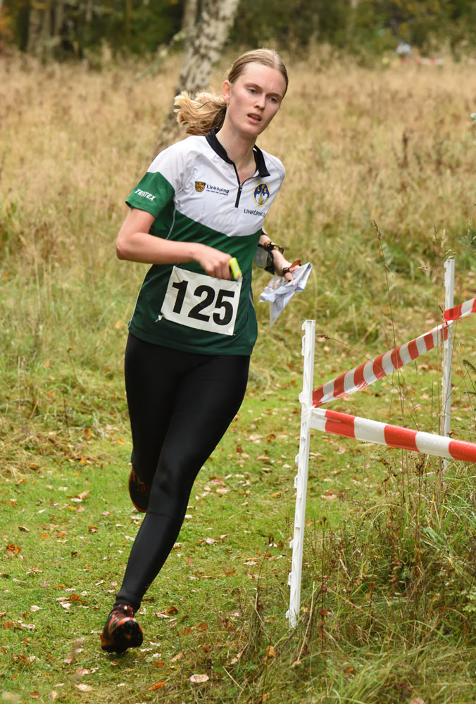 Veckans bild v 39 2025