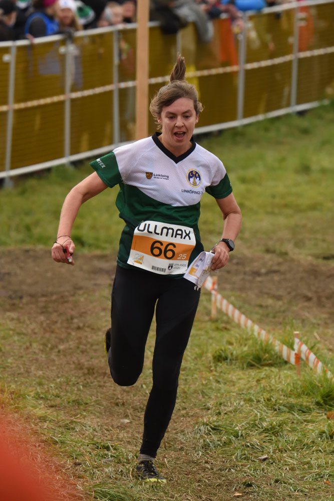 Veckans bild v 47 2025