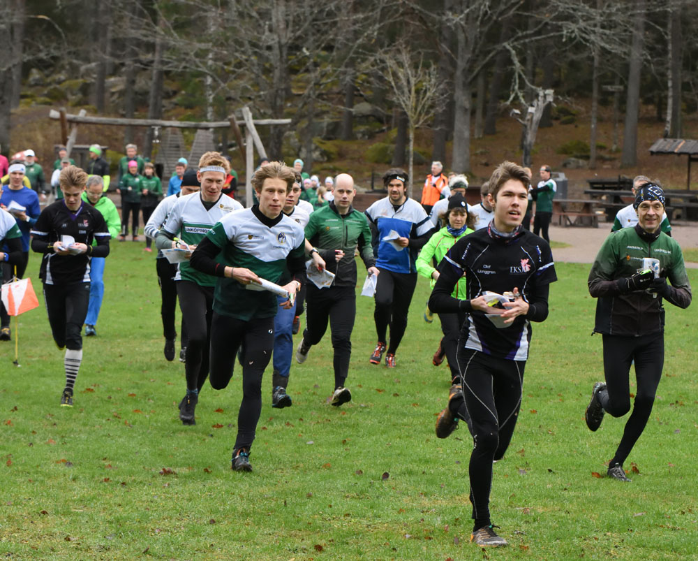 Veckans bild v 52 2025