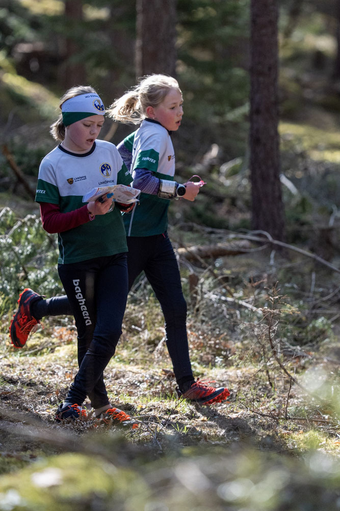 Veckans bild v 17 2026