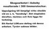 015 Skogsavverkning och sågning.jpg