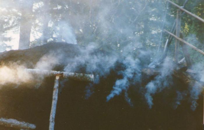 055_Rokslingor_sprids.jpg