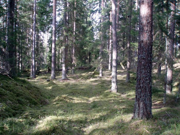 morstorp019.JPG