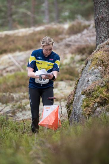 varspringet2016_040.jpg