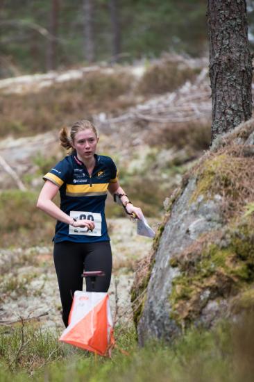 varspringet2016_043.jpg