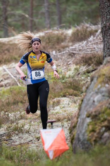 varspringet2016_044.jpg