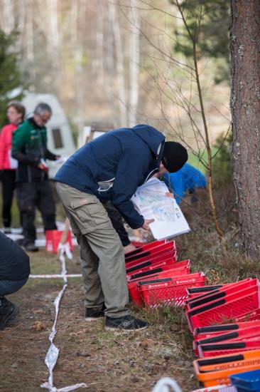 varspringet2016_062.jpg