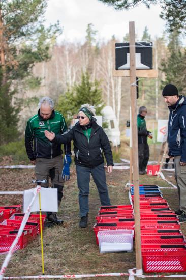 varspringet2016_064.jpg