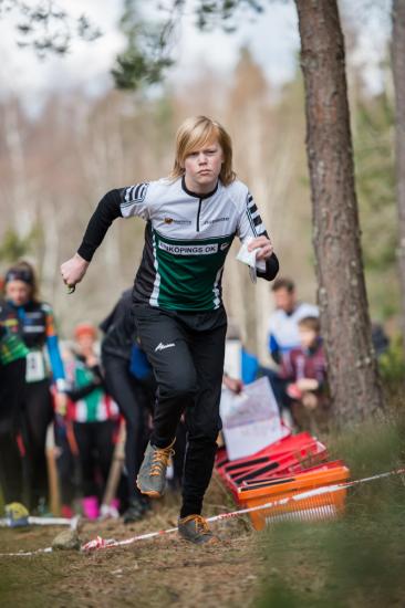 varspringet2016_111.jpg
